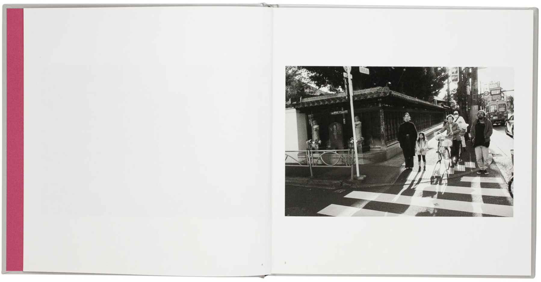 写真集 SILVER THE BOOK OF COLORS SOFIA COPPOLA SC Photograph